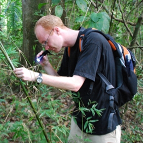 Thomas in the field - measuring a spider's web in Panama, 2009