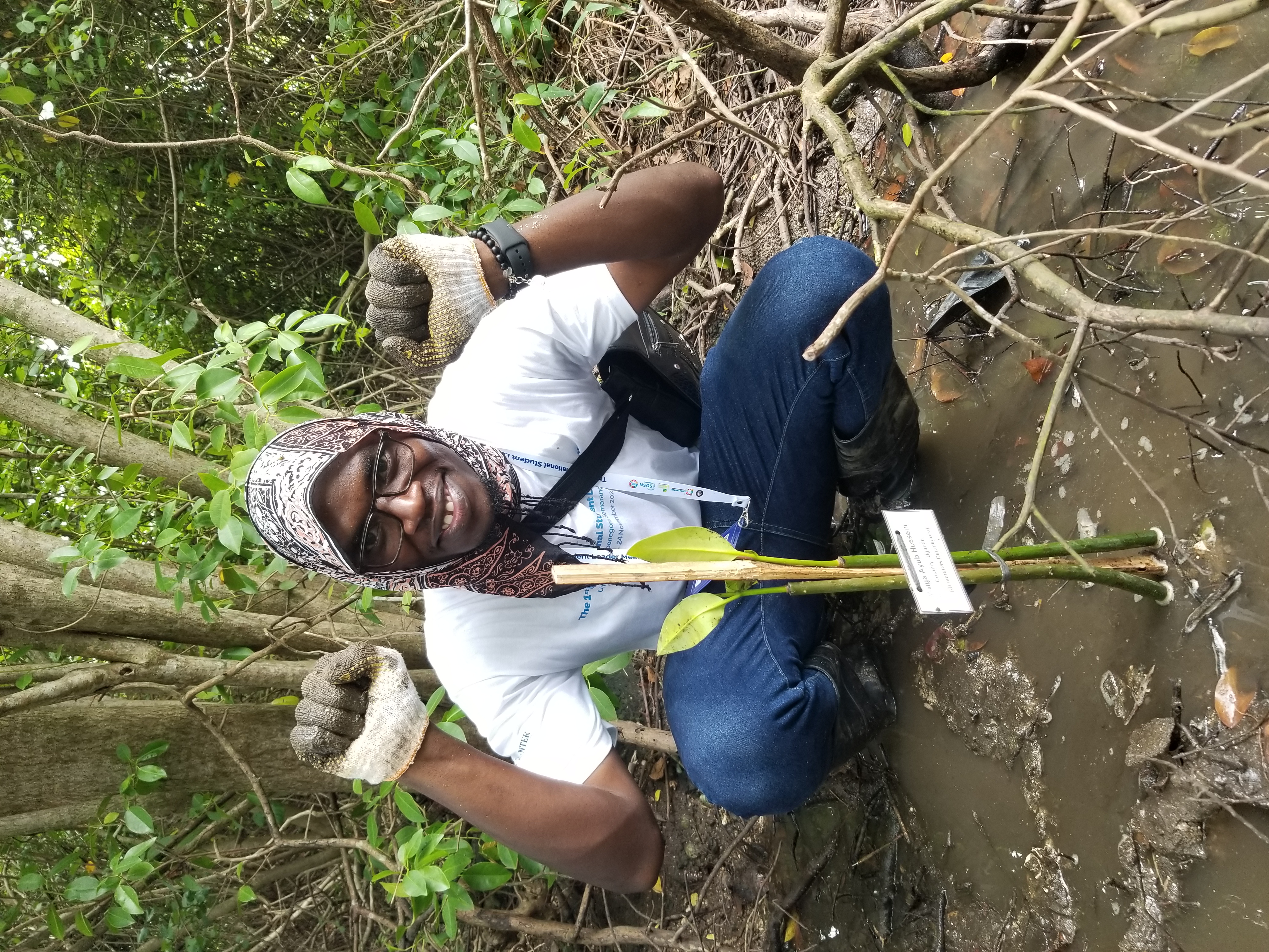 A person, looking happy, crouching in the mud and shallow water, with vegetation in the background. In the foreground, there is a small plant on a splint with a label.